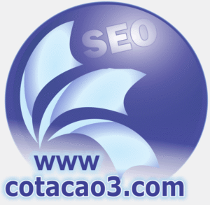 Divulgação Comercial Online a melhor divulgação online no Brasil